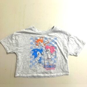 cropped gray t-shirt with a colorful print of Sonic, Tails, and Amy Rose